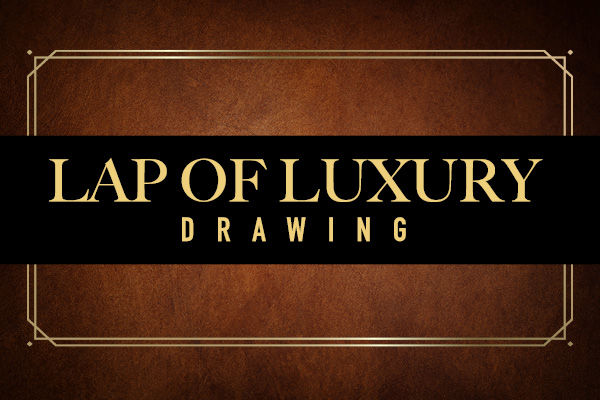 Lap of Luxury Drawing